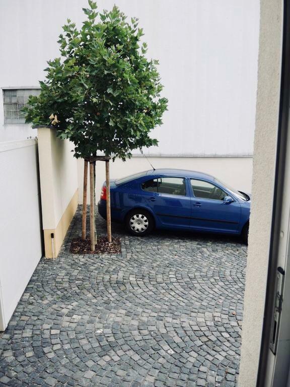 Modernes Apartment - Neustadt/Weinstrasse Stadt Neustadt an der Weinstraße Εξωτερικό φωτογραφία