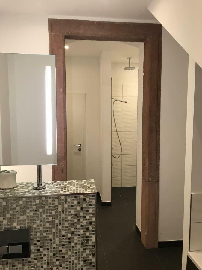 Modernes Apartment - Neustadt/Weinstrasse Stadt Neustadt an der Weinstraße Εξωτερικό φωτογραφία